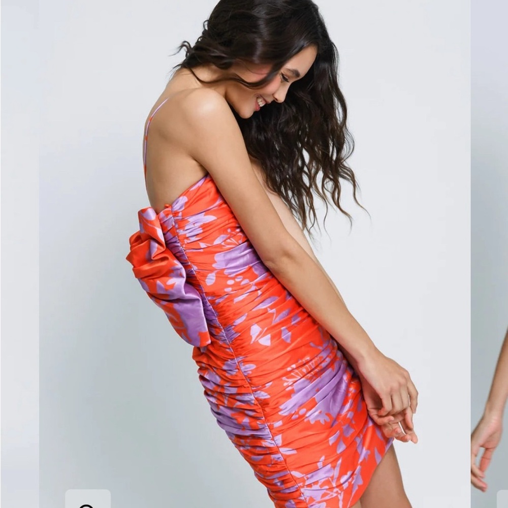 HUTCH Red and Purple Floral Ruched Dress